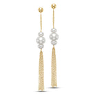 tassel drop earrings