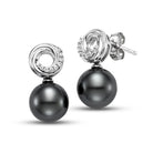double circle earrings